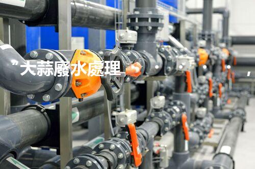 “大蒜廢水處理，綠色環(huán)保新篇章”
